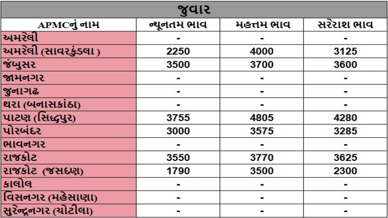 જુવારના તા.04-12-2024ના રોજ APMCના ભાવ રૂ.1790 થી 4805 રહ્યા.