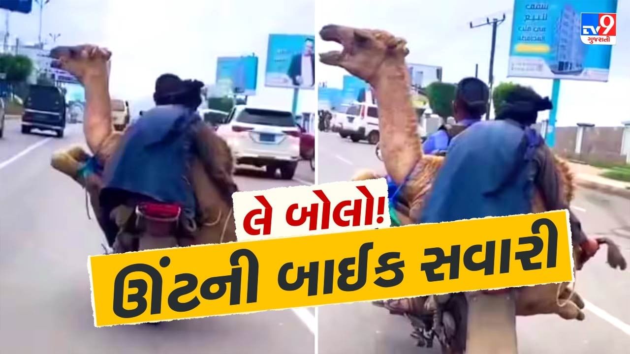 Camel bike ride video : હે ભગવાન! આ જોઈને તો AI ને પણ પરસેવો છૂટ્યો, ઊંટને કરાવી બાઇક સવારી, જુઓ વીડિયો