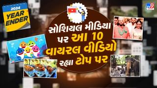 Year Ender 2024 Top 10 Viral Video : વર્ષ 2024માં આ 10 વીડિયોએ સોશિયલ મીડિયા પર ધમાલ મચાવી હતી, શું તમે જોયા છે કે નહીં?