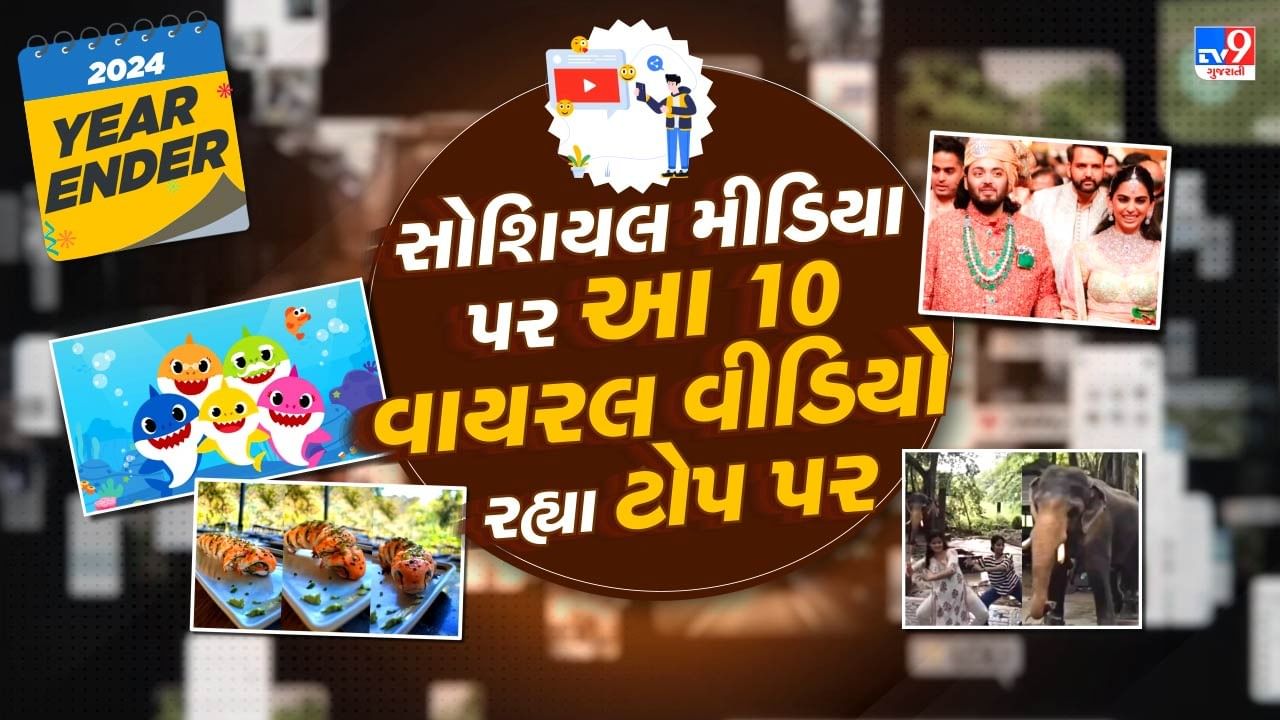 Year Ender 2024 Top 10 Viral Video : વર્ષ 2024માં આ 10 વીડિયોએ સોશિયલ મીડિયા પર ધમાલ મચાવી હતી, શું તમે જોયા છે કે નહીં?