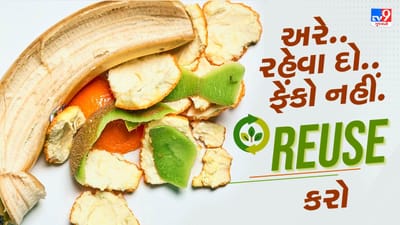 Fruits and Vegetables Peels Uses : શાકભાજી અને ફળો બંને આપણા આહારનો આવશ્યક ભાગ છે. જો તમે સ્વસ્થ અને રોગોથી દૂર રહેવા ઈચ્છો છો તો આ બંને વસ્તુઓને તમારા આહારમાં સમાન માત્રામાં સામેલ કરો. મોટાભાગની શાકભાજી છાલ કાઢીને તૈયાર કરવામાં આવે છે અને ફળોમાં પણ એવું જ છે. પરંતુ કેટલાક લોકો એવા હોય છે જે સફરજન કે કીવી જેવી વસ્તુઓની છાલ કાઢીને ખાવાનું પસંદ કરે છે.