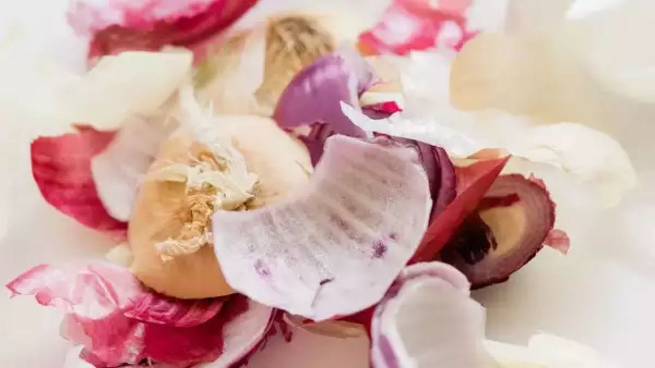 હવે બટાકા, ડુંગળી કે અન્ય ફળોની છાલ ડસ્ટબીનમાં ફેંકવામાં આવે છે. પરંતુ શું તમે જાણો છો કે તમે પણ આ છાલનો કોઈને કોઈ રીતે ઉપયોગ કરી શકો છો. જો તમે પણ છાલને સીધી કચરામાં ફેંકી દો છો તો આગલી વખતે આમ કરવાનું બંધ કરો. કારણ કે અહીં અમે તમને નકામી ગણાતી આ છાલના યોગ્ય ઉપયોગ વિશે જણાવવા જઈ રહ્યા છીએ.