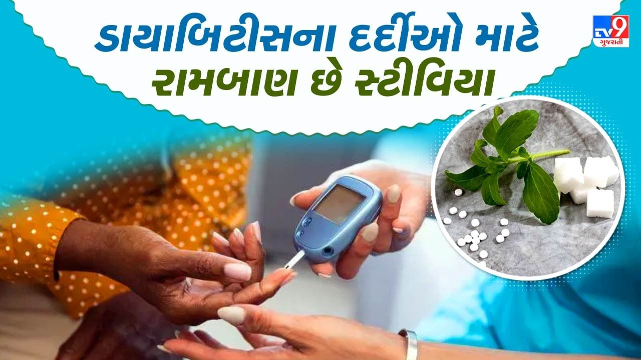 ડાયાબિટીસના દર્દીઓ માટે રામબાણ છે સ્ટીવિયા, તુરંત કંટ્રોલ કરે છે બ્લડ શુગર, સ્વાસ્થ્યમાં રહેશે ફાયદો