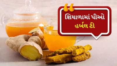 Winter Herbal Tea : કોફી પછી ચા સૌથી વધુ પસંદ કરવામાં આવતું પીણું છે. કેટલાક લોકોને ચા એટલી પસંદ હોય છે કે તેનો દિવસ તે પીધા વગર શરૂ થતો નથી. શિયાળાની સિઝન આવી ગઈ છે અને ઠંડીમાં ચાની માગ વધી જાય છે. આવી સ્થિતિમાં તમે તમારા સ્વાસ્થ્યનું ધ્યાન રાખીને હર્બલ ટી પી શકો છો.

