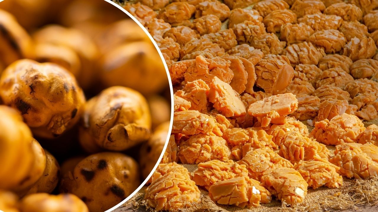 ઠંડા વાતાવરણમાં લોકો સરળતાથી શરદી અને ઉધરસનો શિકાર બને છે. તેથી, આયુર્વેદમાં ગોળ અને ચણા ખાવાની સલાહ આપવામાં આવે છે. ખરેખર, આ ખોરાક આપણી રોગપ્રતિકારક શક્તિને મજબૂત કરવાનું કામ કરે છે.