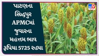 પાટણના સિદ્ધપુર APMCમાં જુવારના મહત્તમ ભાવ રૂપિયા 5725 રહ્યા, જાણો જુદા-જુદા પાકના ભાવ