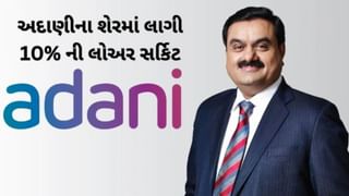 Adani Wilmar ના શેરમાં સતત બીજા દિવસે નોંધાયો 10% નો ઘટાડો થયો, લાગી લોઅર સર્કિટ