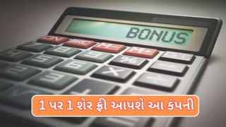 Bonus Share:આ કંપની આપશે 1 પર 1 શેર ફ્રી,શાનદાર ક્વાટર રીઝલ્ટ બાદ,રોકાણકારોને મળશે ભેટ