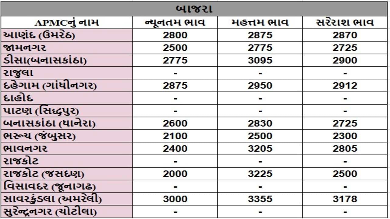 બાજરાના તા.21-01-2025ના રોજ APMCના ભાવ રૂ.2000 થી 3355 રહ્યા.