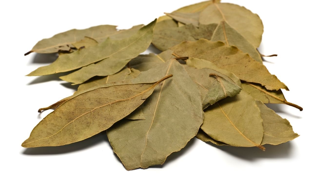 Bay Leaf for Diabetes Lower Blood Sugar Naturally (3)