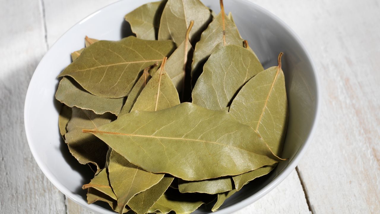 Bay Leaf for Diabetes Lower Blood Sugar Naturally (6)