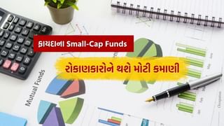 Small-Cap Funds : સાચી પડી આ ભવિષ્યવાણી, તો સ્મોલકેપ ફંડના રોકાણકારો બનશે કરોડપતિ