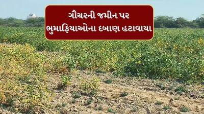 Bharuch : જંબુસરમાં ગૌચરની જમીન પર કરાયેલા દબાણ હટાવાયા, 510 એકર જમીન ખુલ્લી કરાઈ, જુઓ Video Bharuch : જંબુસરમાં ગૌચરની જમીન પર કરાયેલા દબાણ હટાવાયા, 510 એકર જમીન ખુલ્લી કરાઈ, જુઓ Video