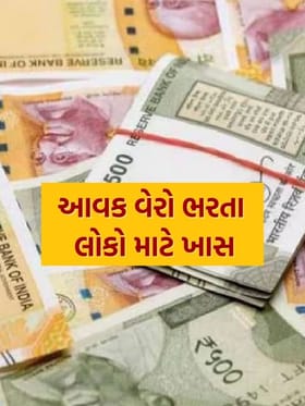Budget 2025: Income Tax ભરનારાઓની પડી જશે મોજ, આ છે મોટું કારણ