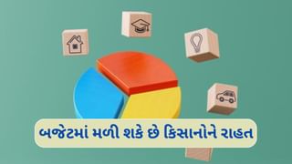 Budget 2025:PM આવાસ યોજનાથી લઈને પીએમ કિસાન સુધી, આ સરકારી યોજનાઓને બજેટમાં મળી શકે છે બૂસ્ટર