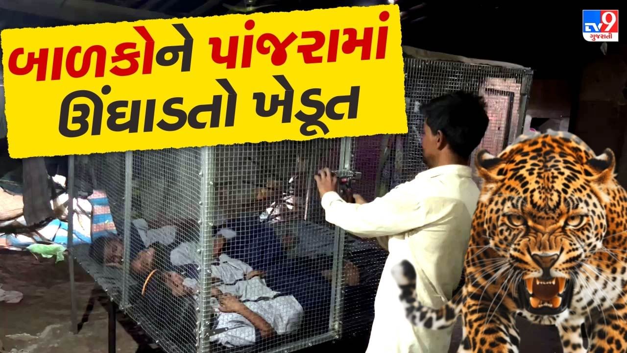 Amreli : ખેડૂત બાળકોને પાંજરામાં ઊંઘાડવા મજબૂર, દીપડાથી બચાવવા નવતર પ્રયોગ,  જુઓ Video