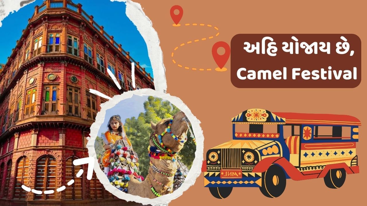 જો તમે ફલાઈટ દ્વારા જવા માંગો છો. તો તમારે જોધપુર એરપોર્ટ પર ઉતરવાનું રહેશે. તેમજ જો તમે પરિવાર કે મિત્રો સાથે કાર લઈને જવાનો પ્લાન બનાવી રહ્યા છો. તો તમે સરળતાથી બિકાનેર જઈ શકો છો.કેમિલ ફેસ્ટિવલમાં મોટી સંખ્યામાં લોકો મુલાકાત લે છે.