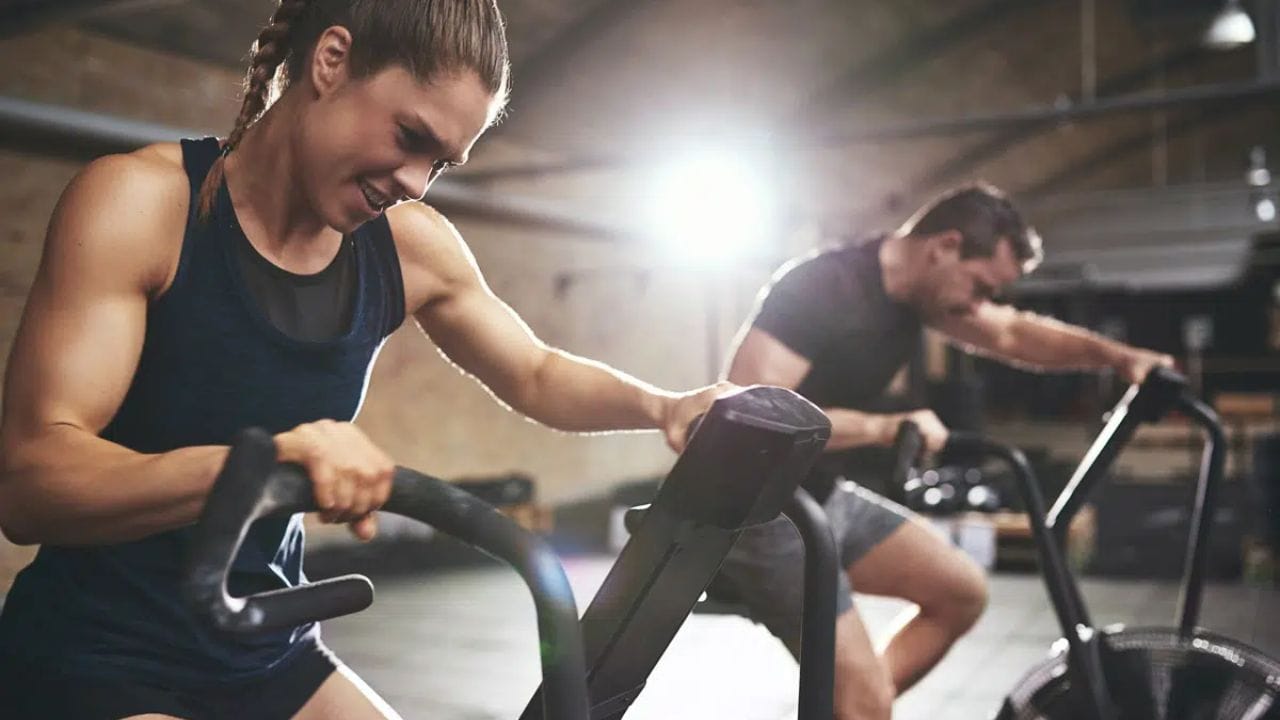 જો તમે જીમમાં યોગ્ય કાર્ડિયો વર્કઆઉટ કરી રહ્યા છો, તો તેની સાથે વેઇટ ટ્રેનિંગ પણ કરવી જરૂરી છે. ઘણા લોકો ફક્ત કાર્ડિયો કરે છે અને વેઇટ ટ્રેનિંગને સંપૂર્ણપણે અવગણે છે, પરંતુ તમારા સ્વાસ્થ્ય માટે કાર્ડિયોની સાથે થોડી વેઇટ ટ્રેનિંગ પણ કરવી મહત્વપૂર્ણ છે.
