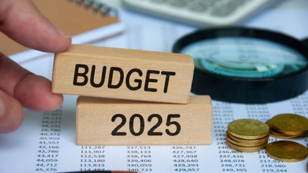 Budget 2025 : સરકાર બજેટમાં કેમિકલ ક્ષેત્ર માટે પ્રોત્સાહન યોજનાની જાહેરાત કરી શકે છે. આ યોજના હેઠળ, ઉત્પાદન વધારવા અને સંશોધન અને વિકાસ પર વિશેષ ધ્યાન કેન્દ્રિત કરી શકાય છે. આ અંગે વધુ માહિતી આપતાં લક્ષ્મણ રોયે જણાવ્યું હતું કે, આગામી બજેટમાં કેમિકલ ક્ષેત્ર માટે ખાસ જાહેરાતો થઈ શકે છે. 
