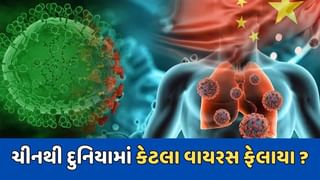 પહેલા કોવિડ, હવે HMP વાયરસ…ચીનથી દુનિયામાં કેટલા વાયરસ ફેલાયા, કેટલા લોકોના લીધા જીવ ?