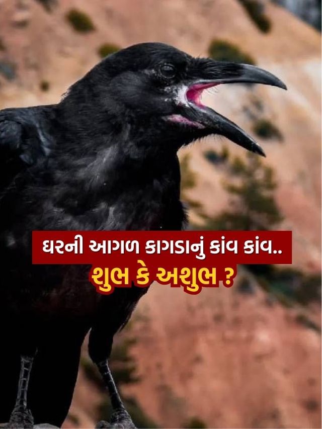 Crow Caws : ઘરની સામે કાગડનું કાંવ- કાંવ કરવું શુભ સંકેત કે અશુભ ?