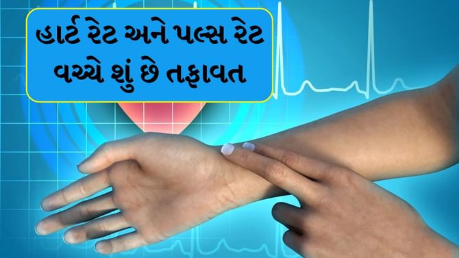 Heart rate and pulse rate : હાર્ટ રેટ અને પલ્સ રેટ વચ્ચે શું છે તફાવત?