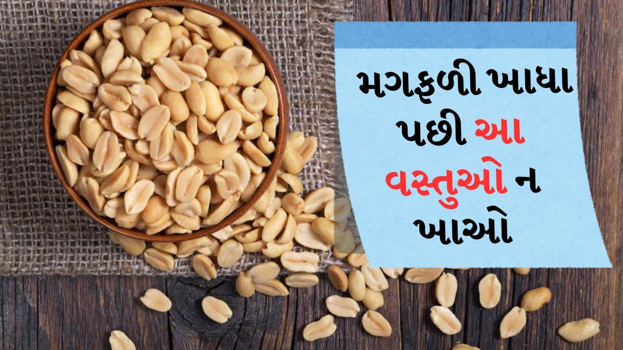 Peanuts Eating in Winter : શિયાળો મગફળીનો સમય છે. મોટાભાગના લોકો તેને ખાવાનું પસંદ કરે છે. સ્વાસ્થ્યની દ્રષ્ટિએ મગફળી ખાવી ખૂબ જ ફાયદાકારક માનવામાં આવે છે. ચાલો તમને જણાવી દઈએ કે મગફળીમાં ડાયેટરી ફાઇબર, પ્રોટીન, કેલ્શિયમ, આયર્ન, વિટામિન B6 અને મેગ્નેશિયમ જેવા ઘણા પોષક તત્વો હોય છે. આ ખાવાથી સ્નાયુઓ પણ મજબૂત બને છે.
