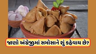 Samosa English Name : શું તમને ખબર છે અંગ્રેજીમાં સમોસાને શું કહેવાય છે ? જાણો