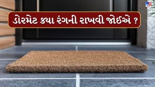 Vastu Tips : ઘરની દિશા અનુસાર રાખો ડોરમેટ ! પરિવારમાં જળવાઈ રહેશે સુખ-શાંતિ, જુઓ તસવીરો