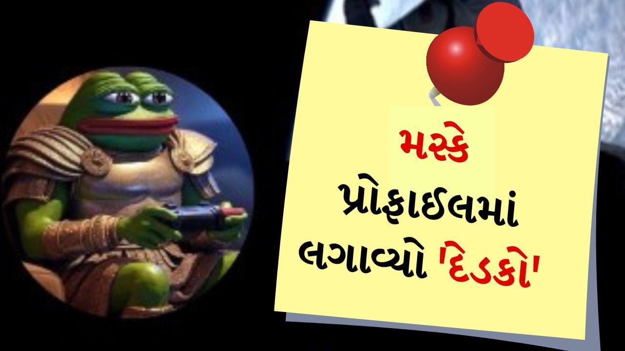 Elon Musk New Name : અમેરિકન બિઝનેસમેન એલોન મસ્કે નવા વર્ષ પહેલા એક મોટું સરપ્રાઈઝ આપ્યું છે. મસ્ક ઘણીવાર એવા કામ કરતા જોવા મળે છે, જેની ચર્ચા તરત જ થવા લાગે છે. નવા વર્ષ 2025 પહેલા પણ તેણે એવું કામ કર્યું કે જેને જોઈને બધા આશ્ચર્યચકિત થઈ ગયા. ટેક અબજોપતિ મસ્કએ લોકપ્રિય માઇક્રોબ્લોગિંગ પ્લેટફોર્મ X (અગાઉ ટ્વિટર) પર નામ બદલ્યું છે. X પર તેનું નવું નામ કેકિયસ મેક્સિમસ છે. આટલું જ નહીં, તેણે પોતાનું પ્રોફાઈલ પિક્ચર પણ બદલ્યું છે, જેમાં એક દેડકો દેખાઈ રહ્યો છે.
