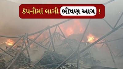 Ahmedabad : બાવળા સરખેજ હાઈવે પર આવેલી કોટક કંપનીમાં લાગી ભીષણ આગ, 2 કિલોમીટર સુધી જોવા મળ્યો ધુમાડો, જુઓ Video Ahmedabad : બાવળા સરખેજ હાઈવે પર આવેલી કોટક કંપનીમાં લાગી ભીષણ આગ, 2 કિલોમીટર સુધી જોવા મળ્યો ધુમાડો, જુઓ Video