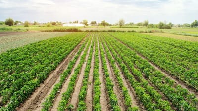 Rajkot : રાસાયણિક ખાતરના ભાવમાં વધારો થતા ખેડૂતોમાં જોવા મળ્યો રોષ, જુઓ Video Rajkot : રાસાયણિક ખાતરના ભાવમાં વધારો થતા ખેડૂતોમાં જોવા મળ્યો રોષ, જુઓ Video