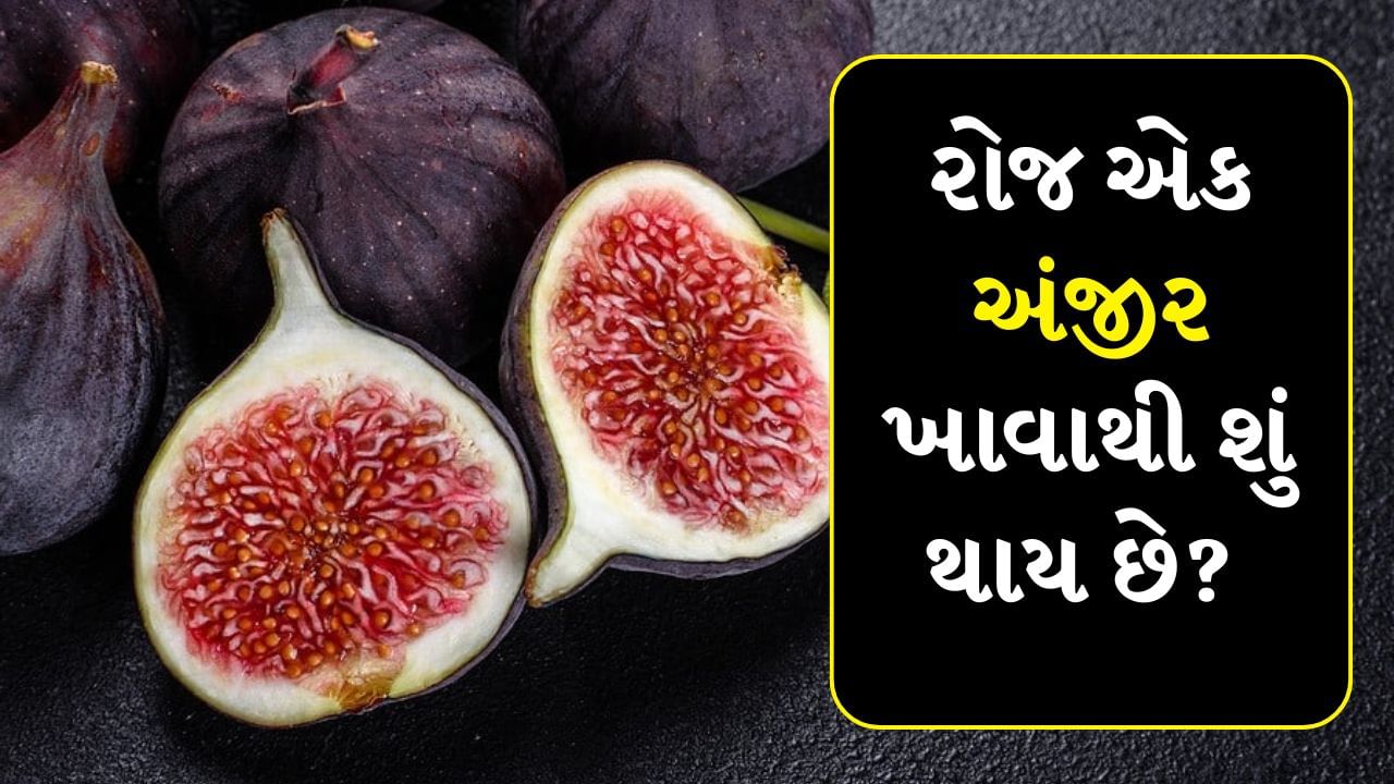 અંજીરનો સ્વાદ મીઠો અને રસદાર હોય છે. તે માત્ર સ્વાદિષ્ટ જ નથી, પરંતુ તે ફાઇબર, એન્ટીઑકિસડન્ટ, ખનિજો અને વિટામિન્સથી પણ ભરપૂર છે. દરરોજ એક અંજીર ખાવાથી, તમે ઘણી સ્વાસ્થ્ય સમસ્યાઓથી બચી શકો છો અને તમારા સ્વાસ્થ્યમાં સુધારો કરી શકો છો. 
