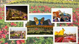 Ahmedabad Flower Show : ફ્લાવર શોમાં કરી શકાશે પ્રી વેડિંગ ફોટોશૂટ અને ફિલ્મોનું શૂટિંગ, જાણી લો સમય અને ચાર્જ કેટલો