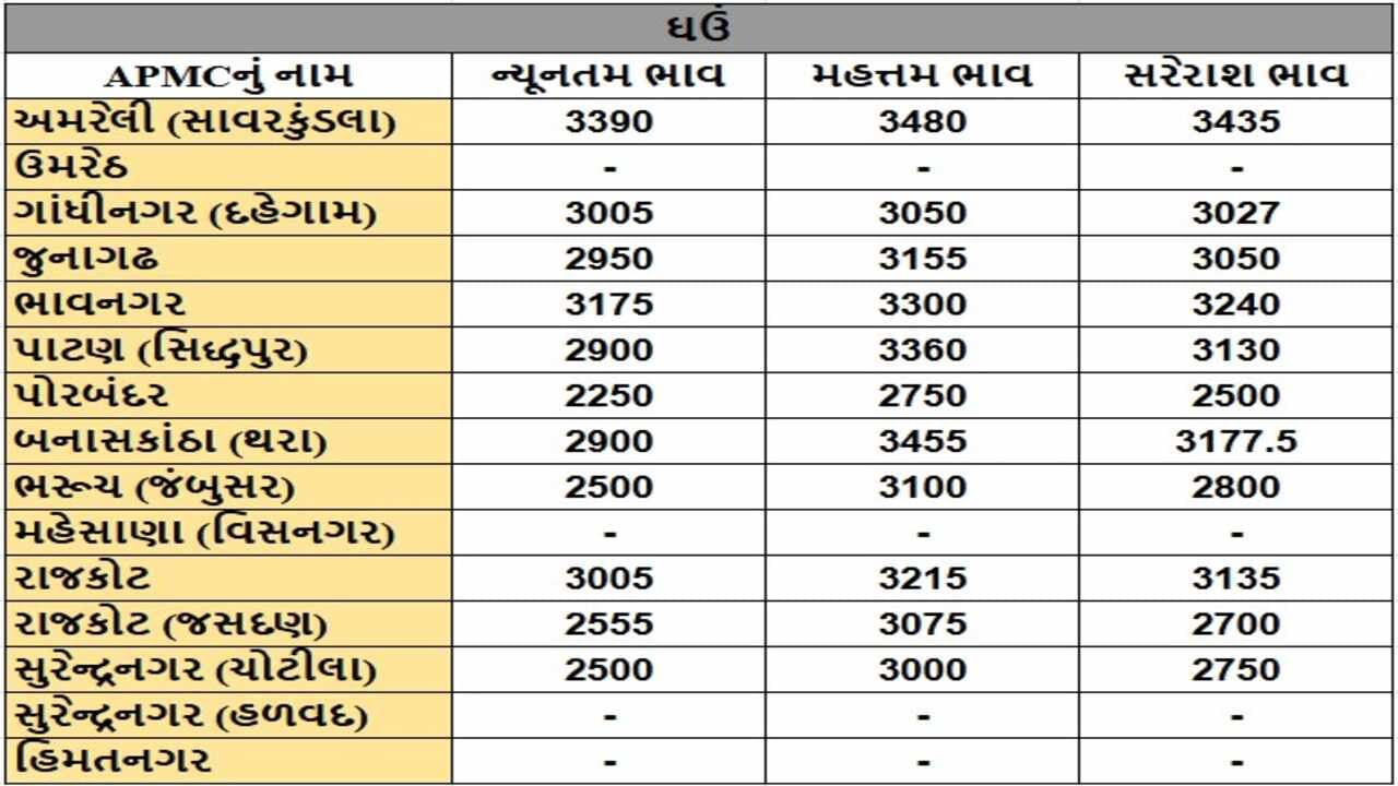 ઘઉંના તા.23-01-2025ના રોજ APMCના ભાવ રૂ.2250 થી 3480 રહ્યા.