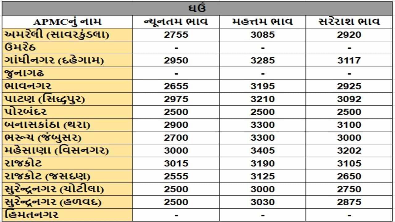 ઘઉંના તા.08-01-2025ના રોજ APMCના ભાવ રૂ.2500 થી 3405 રહ્યા