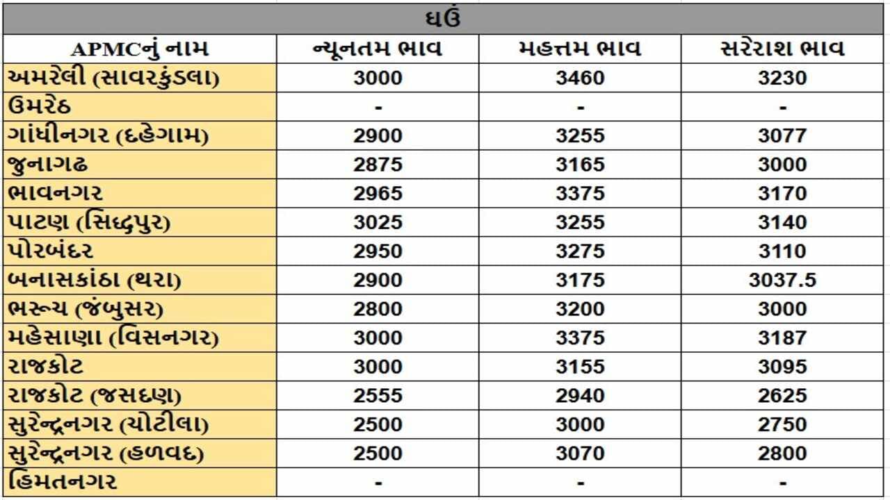 ઘઉંના તા.09-01-2025ના રોજ APMCના ભાવ રૂ.2500 થી 3460 રહ્યા.