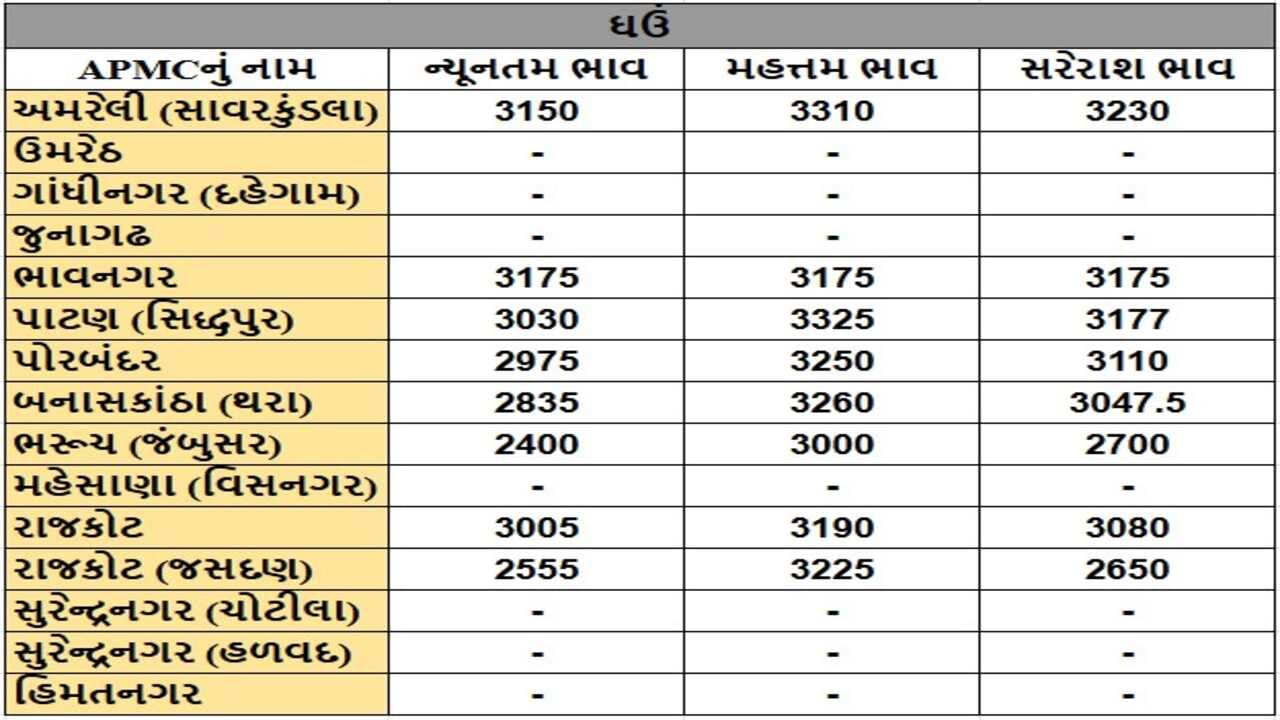 ઘઉંના તા.15-01-2025ના રોજ APMCના ભાવ રૂ.2400 થી 3325 રહ્યા.