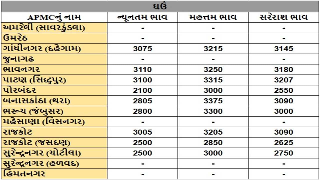 ઘઉંના તા.17-01-2025ના રોજ APMCના ભાવ રૂ.2100 થી 3375 રહ્યા.