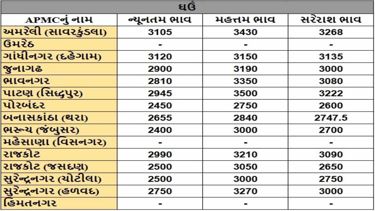 ઘઉંના તા.20-01-2025ના રોજ APMCના ભાવ રૂ.2400 થી 3500 રહ્યા.