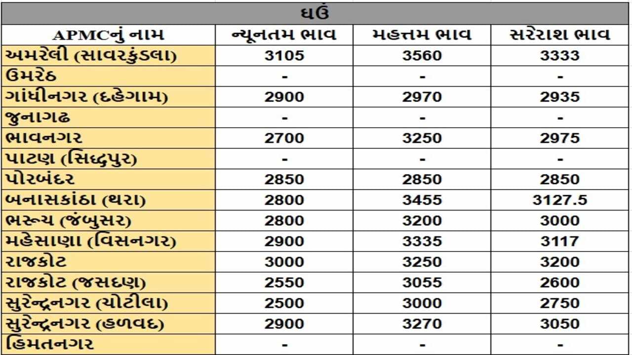 ઘઉંના તા.21-01-2025ના રોજ APMCના ભાવ રૂ.2500 થી 3560 રહ્યા.