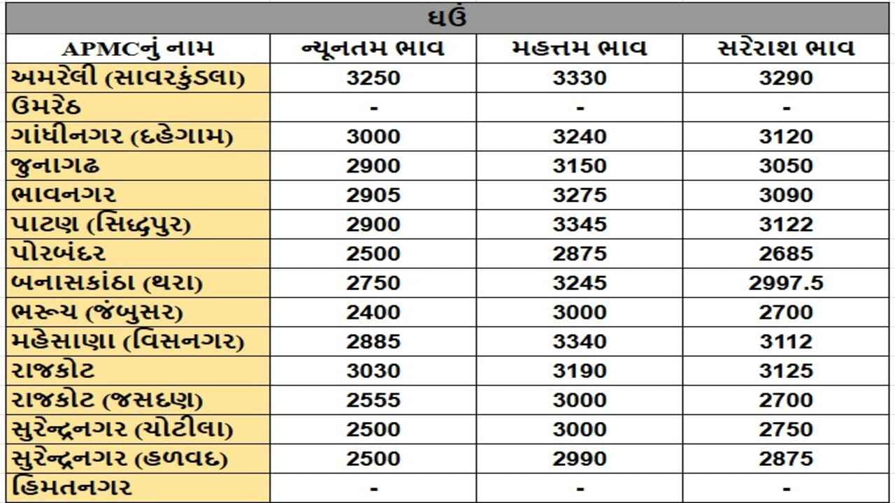 ઘઉંના તા.22-01-2025ના રોજ APMCના ભાવ રૂ.2400 થી 3345 રહ્યા.