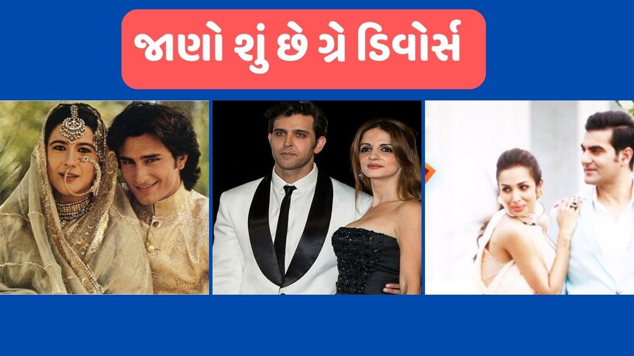  ગ્રે ડિવોર્સના લિસ્ટમાં અનેક સેલિબ્રિટના નામ સામેલ છે.દિવંગત અભિનેતા ઓમ પુરી અને પત્રકાર નંદિતા પુરી લગ્નના 23 વર્ષ બાદ અલગ થયા હતા. બંન્નેના આ નિર્ણયથી ચાહકો ચોંકી ગયા હતા.