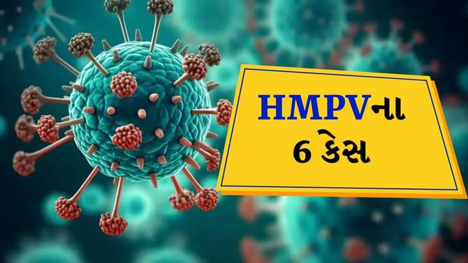 ભારતમાં HMPV ના 6 કેસ : રાજ્યો એલર્ટ પર, બાળકો સંક્રમિત