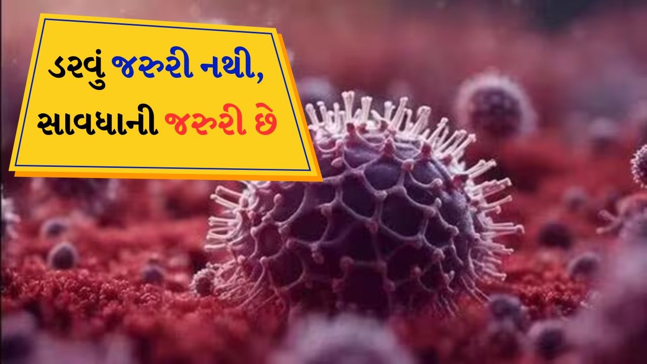 છેલ્લા કેટલાક દિવસોથી ભારતમાં પણ HMPV (હ્યુમન મેટાન્યૂમોવાયરસ)ના કેસ વધી રહ્યા છે. ભારતમાં HMPV ના 8 કેસ નોંધાયા છે. અત્યાર સુધી મોટાભાગના કેસ બાળકોમાં જ આવ્યા છે. આ વાયરસના કારણે બાળકોને ઉધરસ, શરદી અને કેટલાક કિસ્સાઓમાં શ્વાસ લેવામાં તકલીફ થઈ રહી છે. આરોગ્ય મંત્રાલય વાયરસને લઈને સતર્ક છે. બાળકોમાં એચએમપીવી વાયરસના કેસ વધી રહ્યા છે, પરંતુ બાળકો સિવાય બીજા કોને આ વાયરસથી વધુ જોખમ છે? આ વિશે જાણો.
