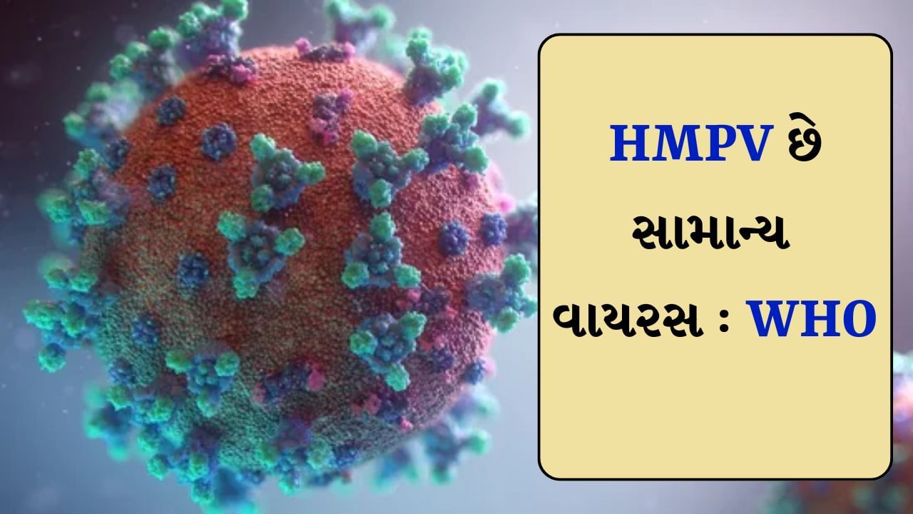 ચીન પછી ભારતમાં પહોંચેલા HMPV પર વિશ્વ આરોગ્ય સંગઠનની પહેલી પ્રતિક્રિયા આવી છે. WHO એ તેને એક સામાન્ય વાયરસ ગણાવ્યો છે. સંગઠને કહ્યું છે કે, HMPV એટલે કે હ્યુમન મેટાન્યૂમોવાયરસ નવો નથી. તેની ઓળખ 2001 માં જ થઈ હતી. તે ઘણા સમયથી લોકોમાં હાજર છે જે શિયાળાની ઋતુમાં વધે છે.
