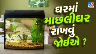 Vastu Tips : ભૂલથી પણ ઘરમાં આ જગ્યાએ ન રાખવું જોઈએ માછલીઘર, જાણો