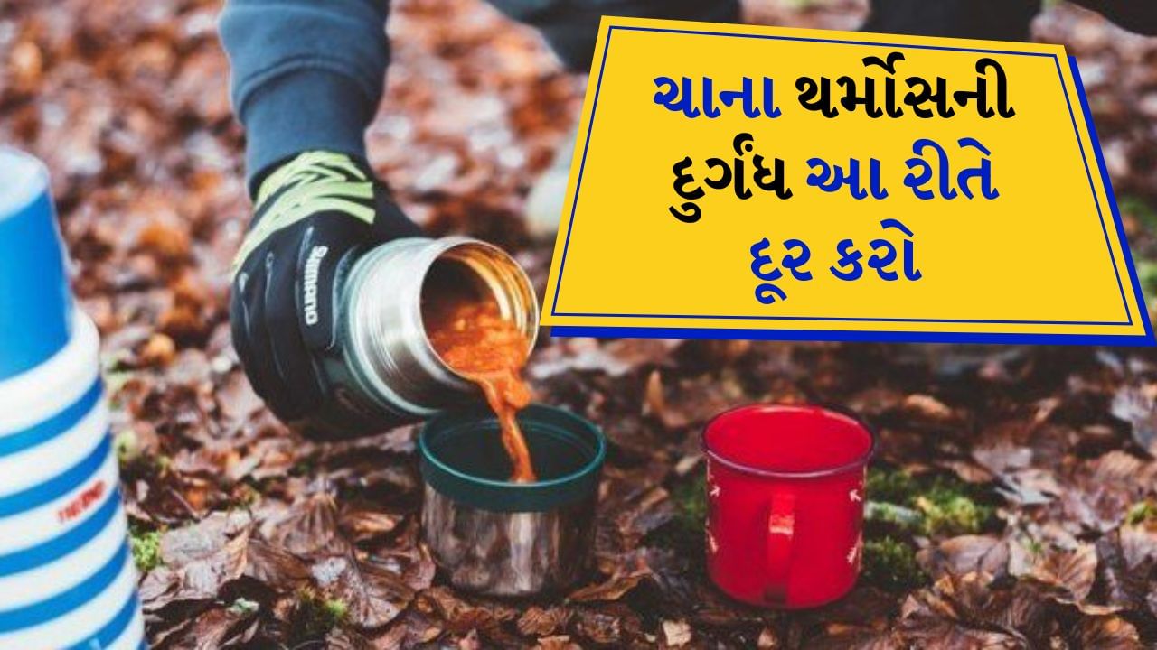 થર્મોસ અથવા કીટલી પાણી, ચા અથવા દૂધને ઘણા કલાકો સુધી ગરમ રાખવામાં મદદ કરે છે. શિયાળાના દિવસોમાં, લોકો ગરમ પાણી, ચા અથવા બાળકોના દૂધને લાંબા સમય સુધી ગરમ રાખવા માટે થર્મોસ અથવા બોટલનો ઉપયોગ કરે છે. આમાં ઘણા કલાકો સુધી વસ્તુઓ ગરમ રહે છે. ખાસ કરીને ઓફિસમાં ચા કે દૂધ લઈ જતી વખતે કે ક્યાંક બહાર જતી વખતે, લોકો તેને ગરમ રાખવા માટે થર્મોસ કે કીટલીનો ઉપયોગ કરે છે.
