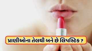 Lipstick Making : લિપસ્ટિક બનાવવામાં શું પ્રાણીઓના તેલનો કરવામાં આવે છે ઉપયોગ ? જાણો જવાબ