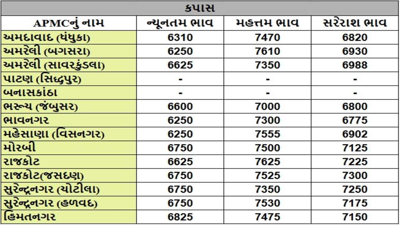 કપાસના તા.21-01-2025ના રોજ APMCના ભાવ રૂ.6250 થી 7625 રહ્યા.